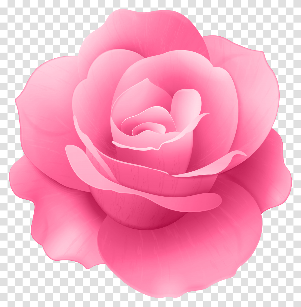 Pink Rose Flower Clip Art Image, Plant, Blossom, Petal Transparent Png