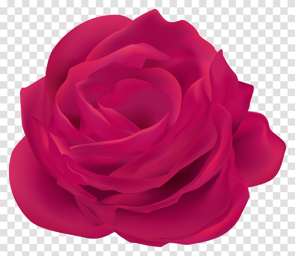 Pink Rose Flower Clip Art Image Transparent Png