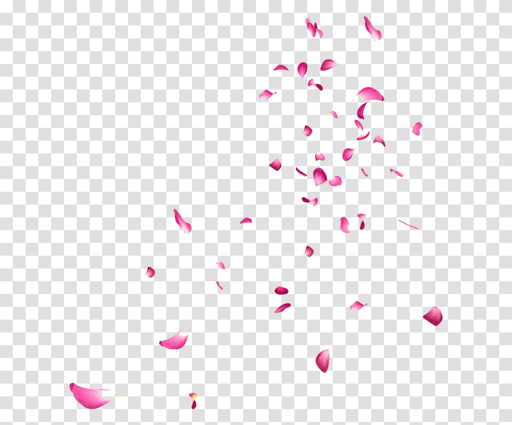 Pink Rose Flower Petals Falling Petals Gif, Confetti, Paper, Bird Transparent Png