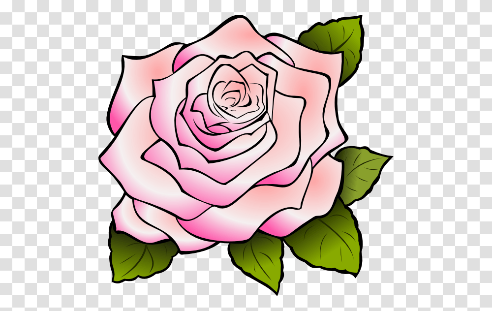 Pink Rose Large Size, Flower, Plant, Blossom, Petal Transparent Png