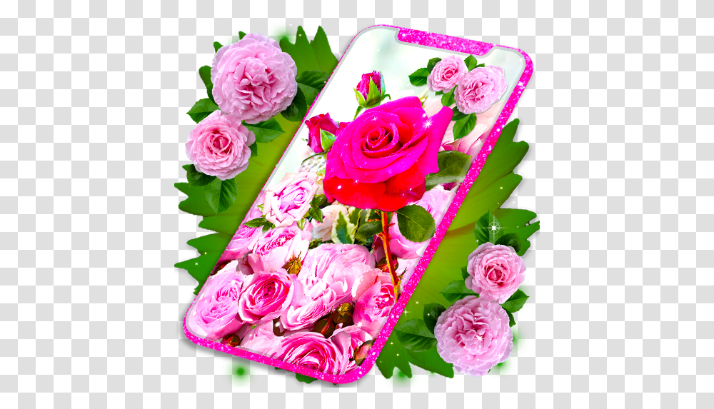 Pink Rose Live Wallpaper 3d Roses 4k Wallpapers Rose Hd, Flower, Plant, Petal, Graphics Transparent Png