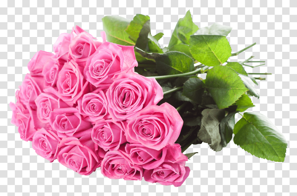 Pink Rose Psd Clipart Bunch Of Rose, Plant, Flower, Blossom, Flower Bouquet Transparent Png