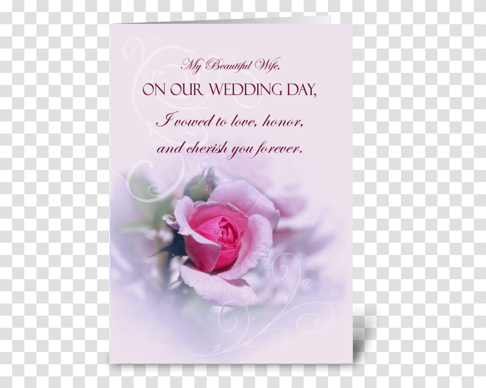 Pink Rose Wedding Anniversary For Wife Greeting Card Our Marriage Anniversary, Flower, Plant, Blossom, Mail Transparent Png