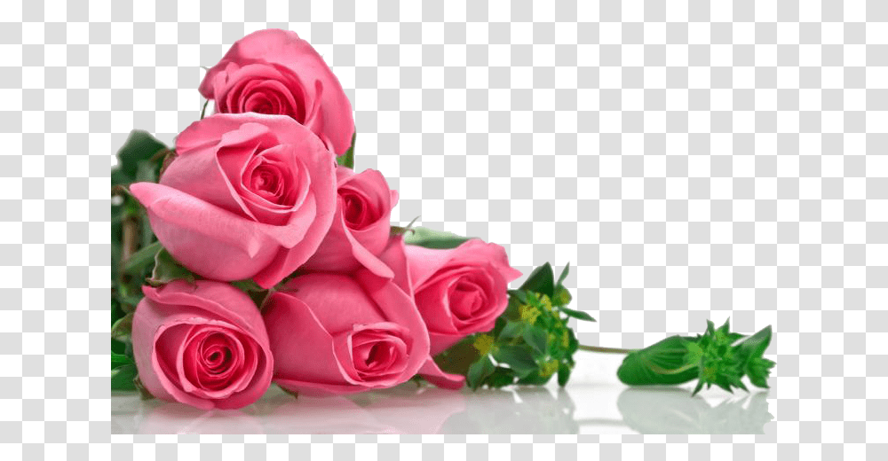 Pink Roses Background Image Flowers In High Resolution, Plant, Blossom, Flower Bouquet, Flower Arrangement Transparent Png
