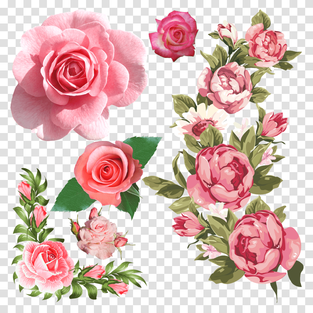 Pink Roses Border Pink Flower Clipart, Plant, Blossom, Petal, Floral Design Transparent Png