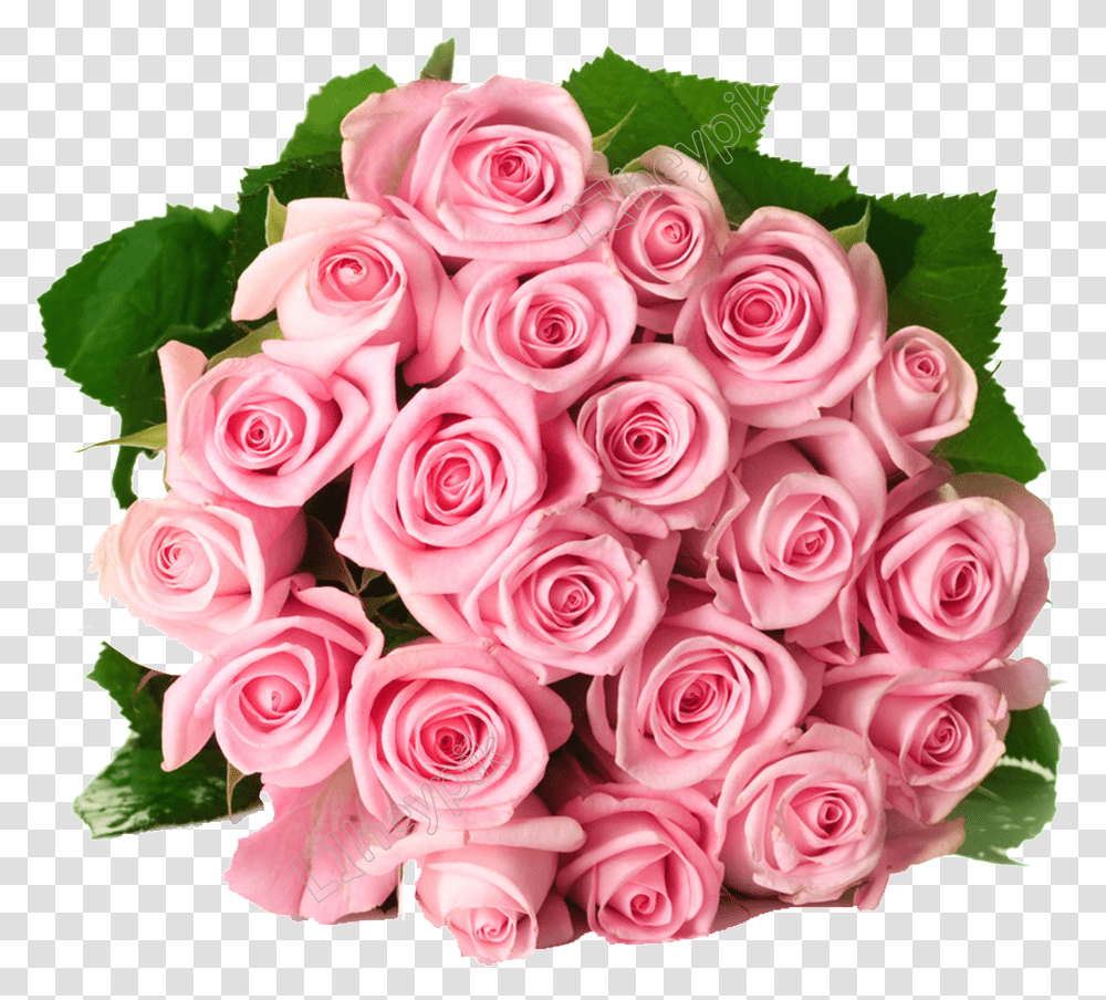 Pink Roses Bouquet Rose, Plant, Flower, Blossom, Flower Bouquet Transparent Png