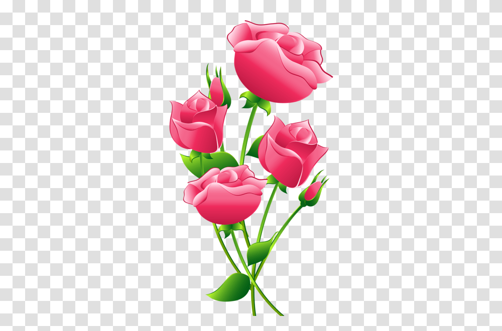Pink Roses Clip Art Image Flores Imagenes, Flower, Plant, Blossom, Petal Transparent Png