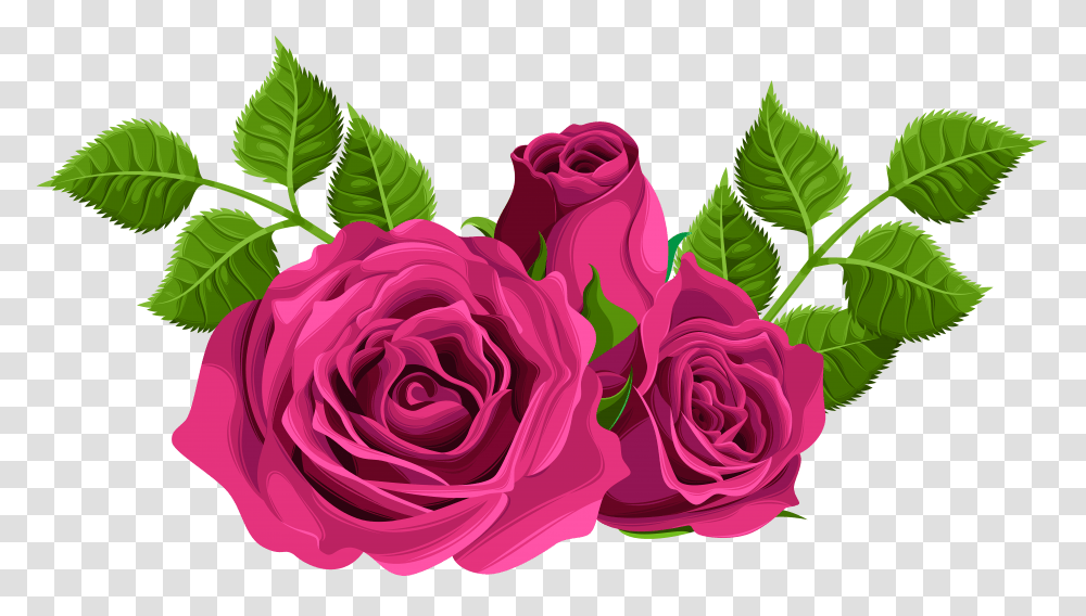 Pink Roses Decorative Clip Art Transparent Png