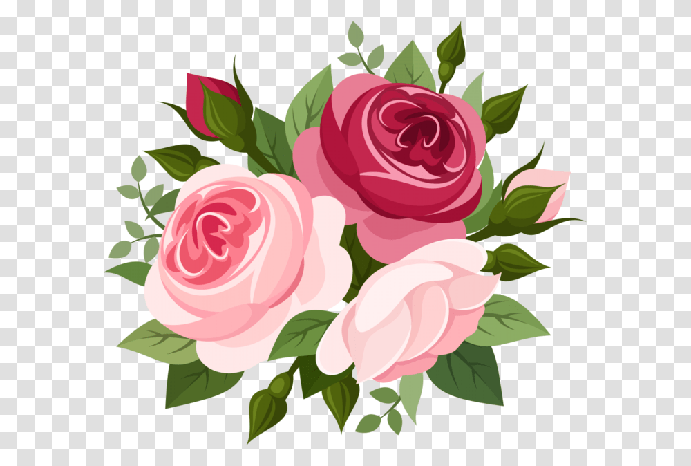 Pink Roses Elegant Rose Vector Picture Bouquet Flower Vector, Plant, Blossom Transparent Png