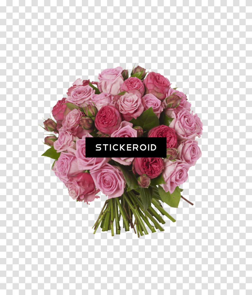Pink Roses Flowers Bouquet, Plant, Floral Design, Pattern Transparent Png