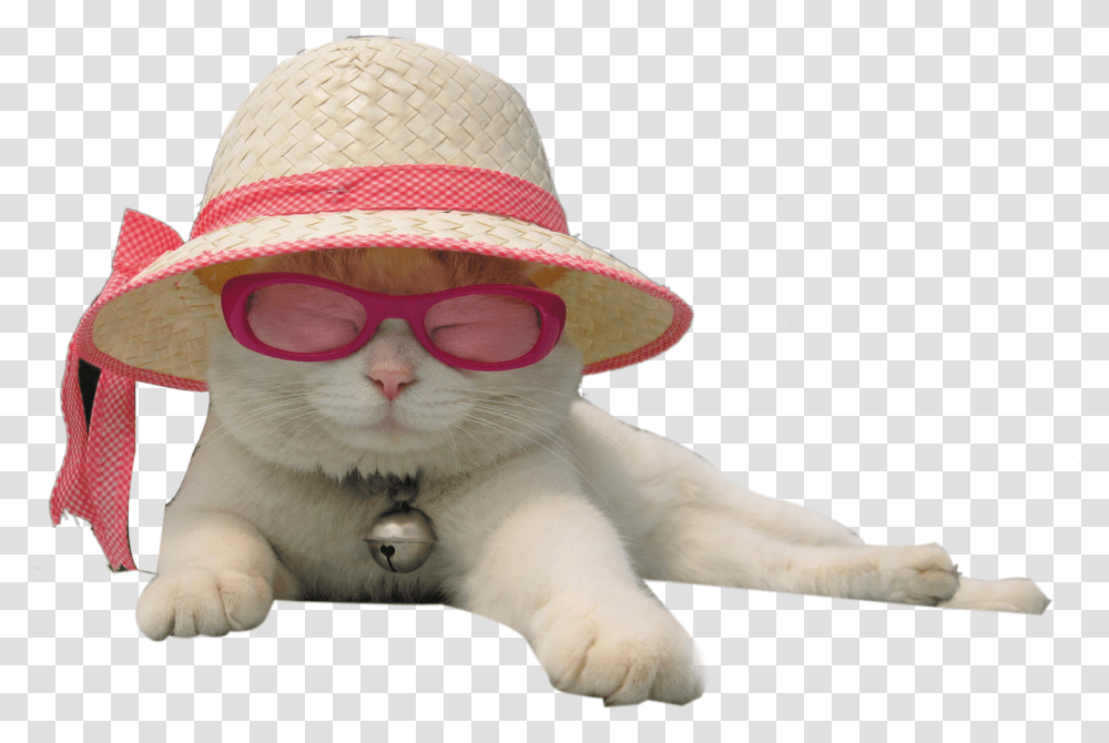 Pink Santa Hat Sun Hat For Cats, Apparel, Sunglasses, Accessories Transparent Png