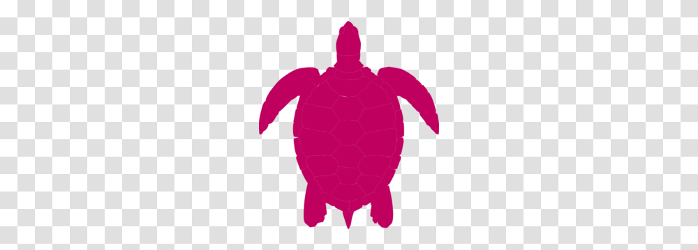 Pink Sea Turtle Clip Art, Outdoors, Person, Silhouette, Nature Transparent Png