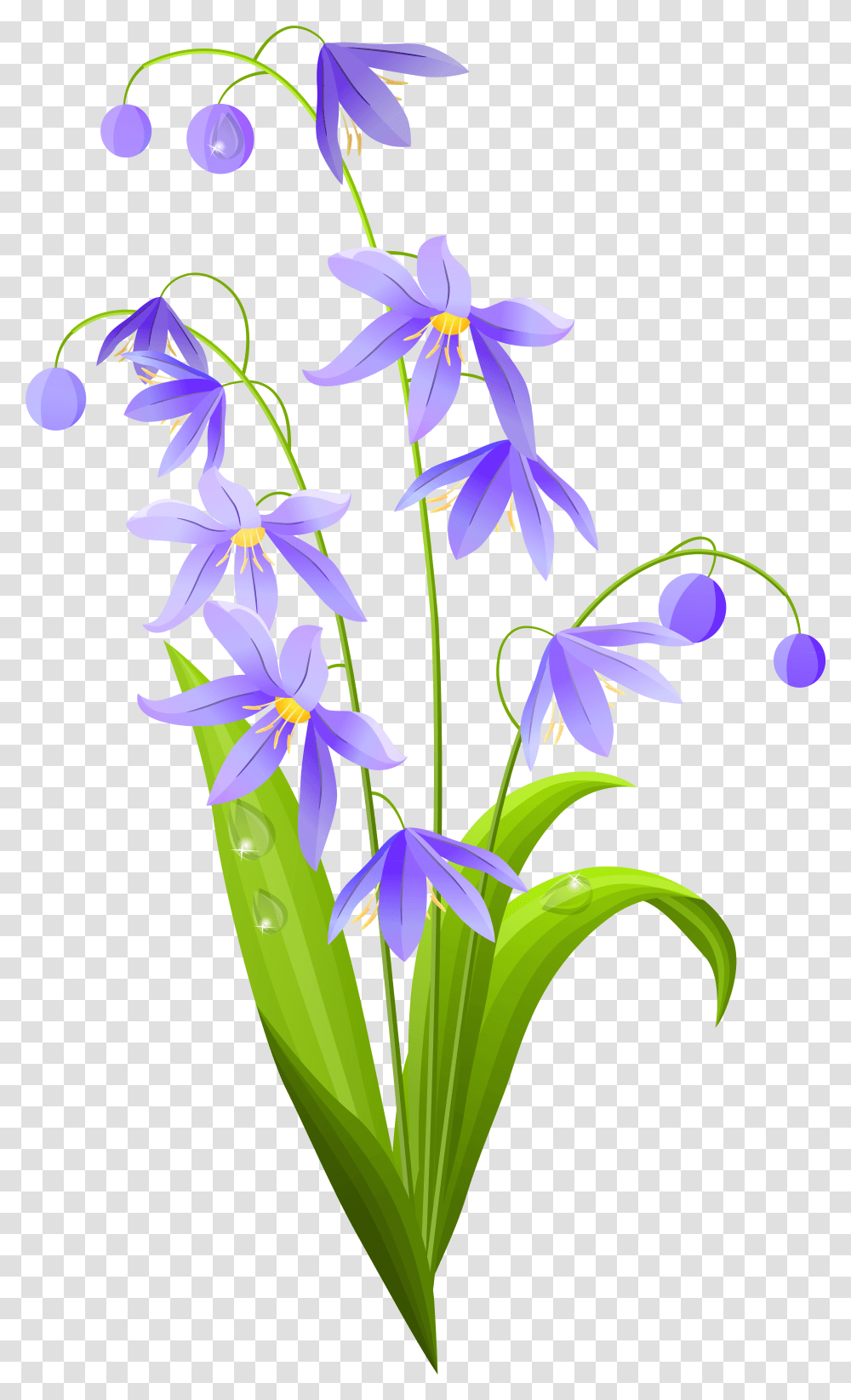 Pink Spring Flower Clipart Spring Flower, Plant, Blossom, Iris, Amaryllidaceae Transparent Png