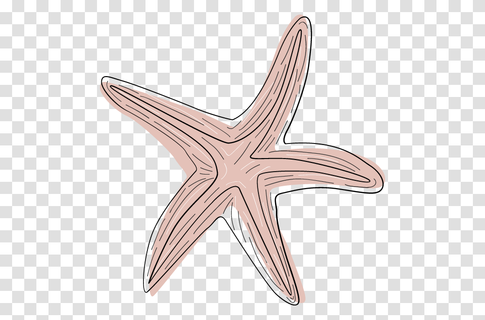 Pink Starfish Clipart Starfish, Bird, Animal, Sea Life, Invertebrate Transparent Png