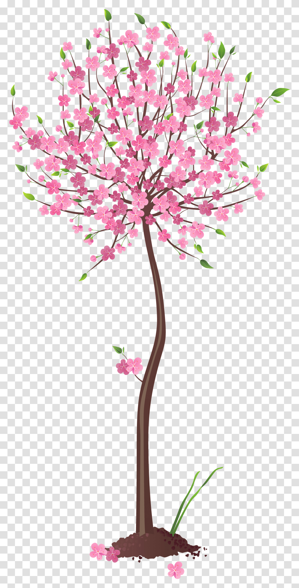 Pink Tree Clipart, Plant, Flower, Petal, Cross Transparent Png