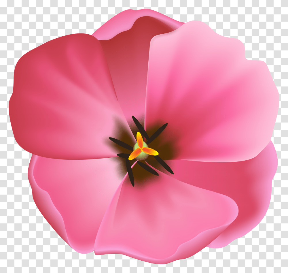 Pink Tulip Clipart Transparent Png
