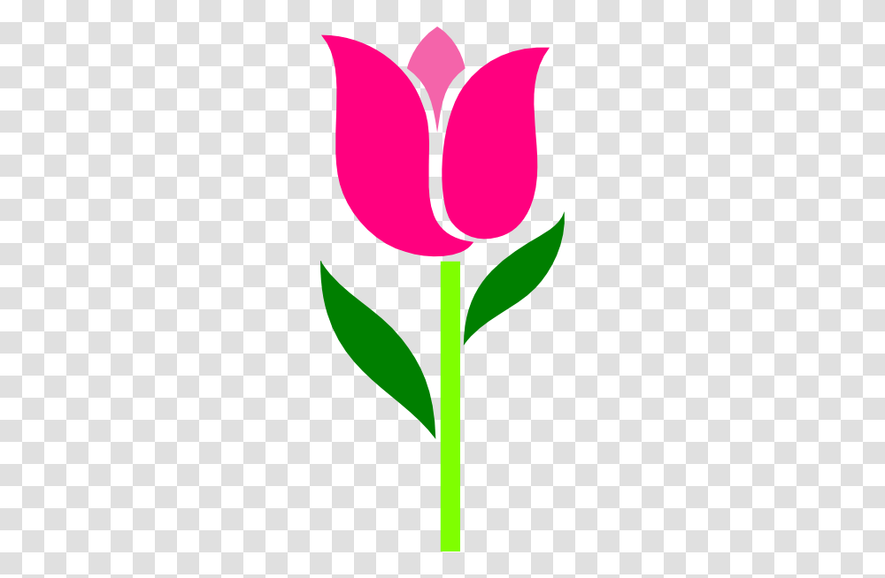 Pink Tulip Leaves Askew Clip Art, Plant, Flower, Blossom Transparent Png
