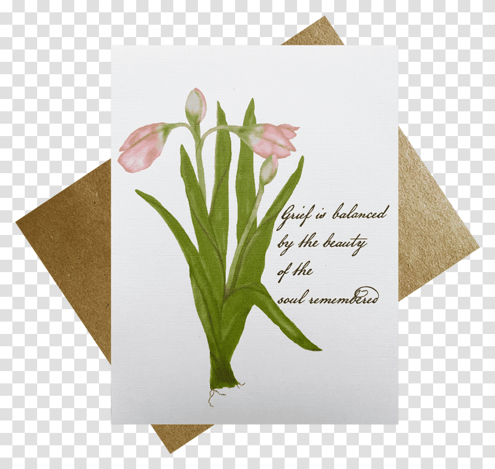 Pink Tulips Sympathy Card Place Card, Envelope, Plant, Text, Flower Transparent Png