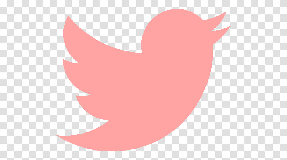 Pink Twitter Icon Pink Twitter Logo, Stomach, Mouth, Lip, Bird Transparent Png