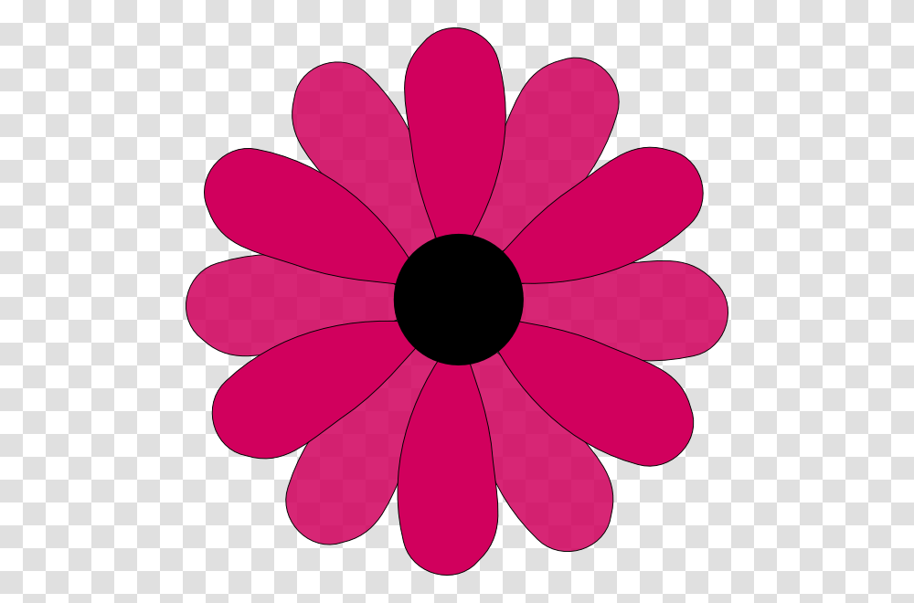 Pink Two Tone Petals Hi Free Images, Plant, Flower, Blossom, Daisy Transparent Png