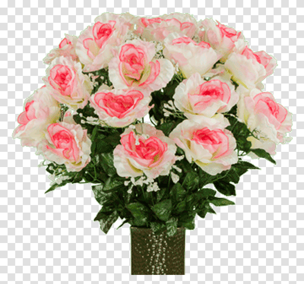 Pink Two Tone Roses, Plant, Flower, Blossom, Flower Bouquet Transparent Png