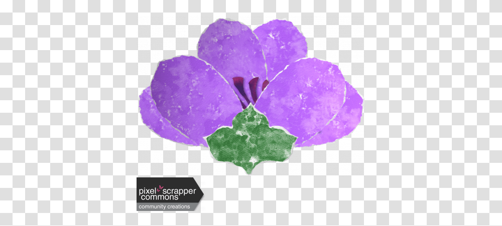 Pink & Purple Ripped Paper Anemone Flower Graphic By Gill Violet, Plant, Blossom, Rose, Gemstone Transparent Png