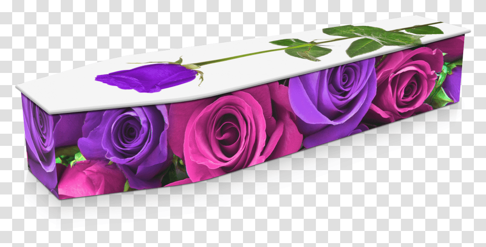 Pink & Purple Roses Custom Coffin Design Expression Coffins Coffin, Petal, Flower, Plant, Graphics Transparent Png