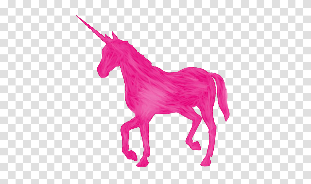 Pink Unicorn, Horse, Mammal, Animal, Foal Transparent Png