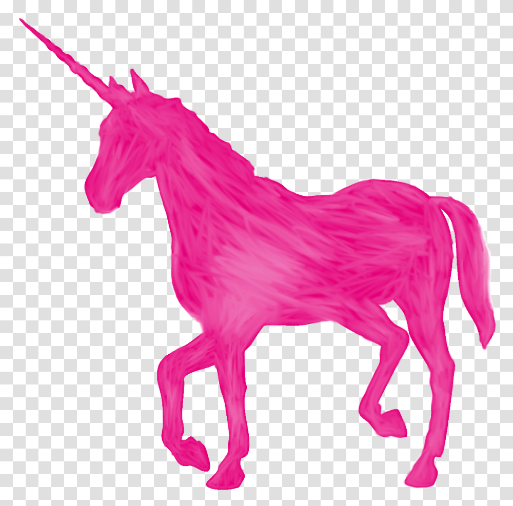 Pink Unicorn Picture Unicorn With Background, Mammal, Animal, Horse, Foal Transparent Png