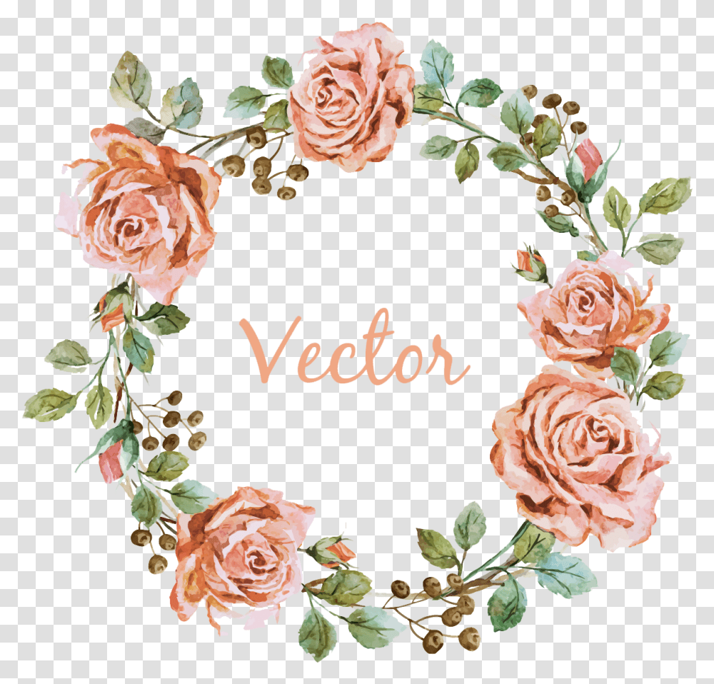 Pink Videography Photographer Photography Flower Wedding Circle Flower Vector, Rose, Plant, Blossom, Floral Design Transparent Png