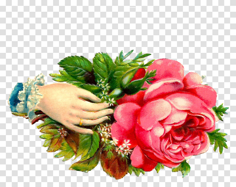 Pink Vintage Flowers 31677 Welcome Of Flowers Hand, Plant, Blossom, Flower Bouquet, Flower Arrangement Transparent Png