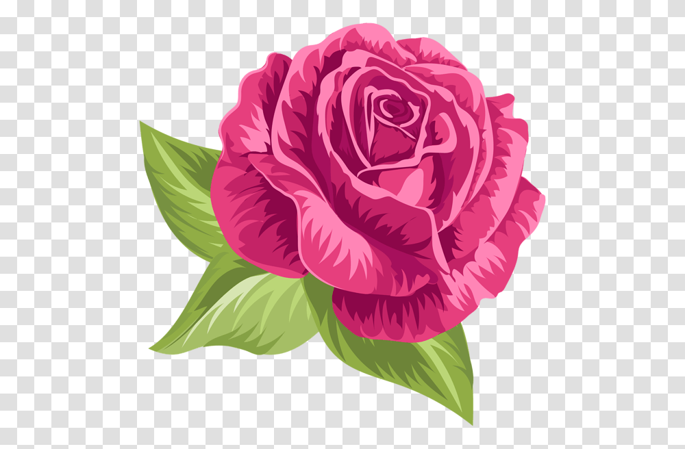 Pink Vintage Rose Clip Art Rose, Flower, Plant, Blossom, Carnation Transparent Png