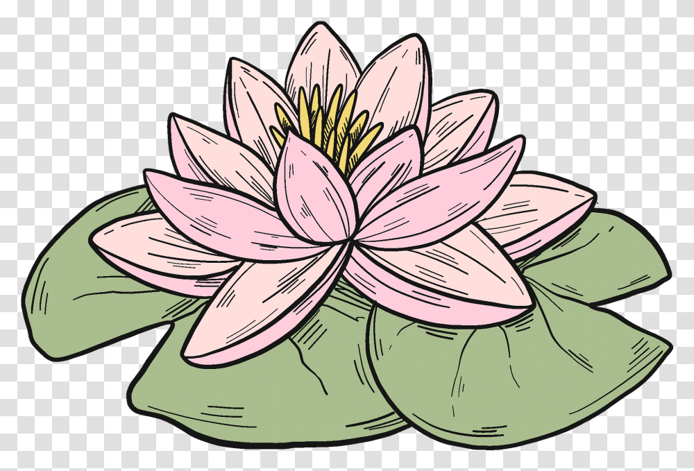 Pink Water Lily Clipart Lily Pad Water Lily Clipart, Plant, Flower, Blossom, Pond Lily Transparent Png