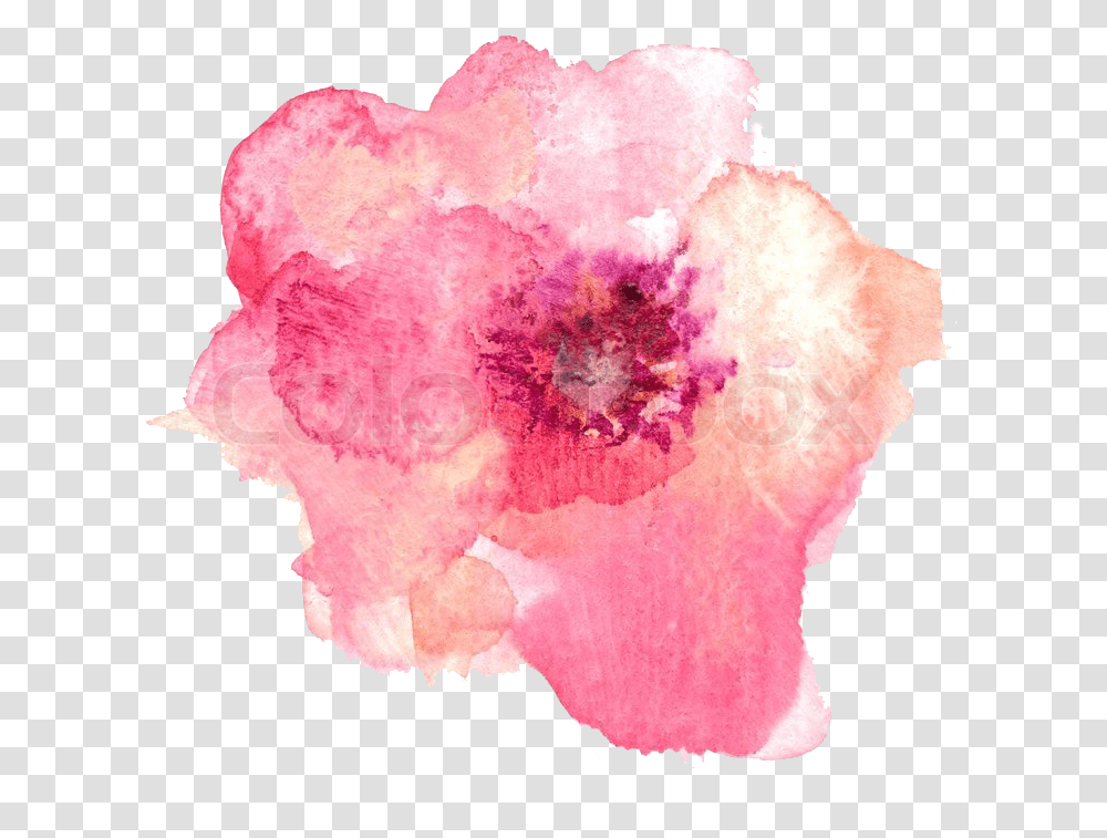 Pink Watercolor Background Flower Download Pink Watercolor Background Flower, Plant, Petal, Blossom, Rose Transparent Png