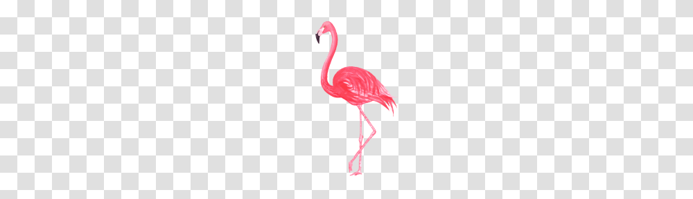 Pink Watercolor Flamingo, Animal, Bird Transparent Png