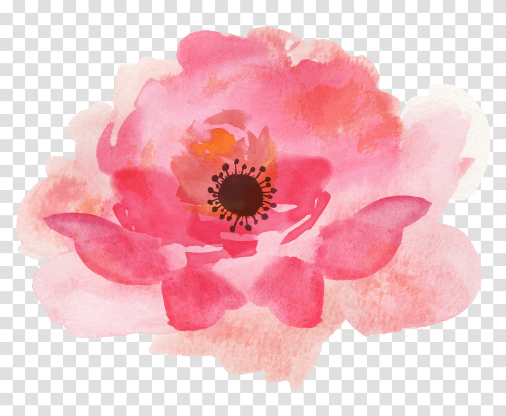 Pink Watercolor Flowers High Quality 46956 Free Icons Background Watercolor Flowers Clipart, Plant, Rose, Blossom, Petal Transparent Png