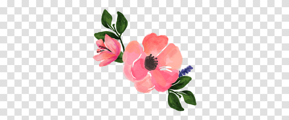 Pink Watercolor Flowers You Flower You Feast, Plant, Blossom, Petal, Rose Transparent Png