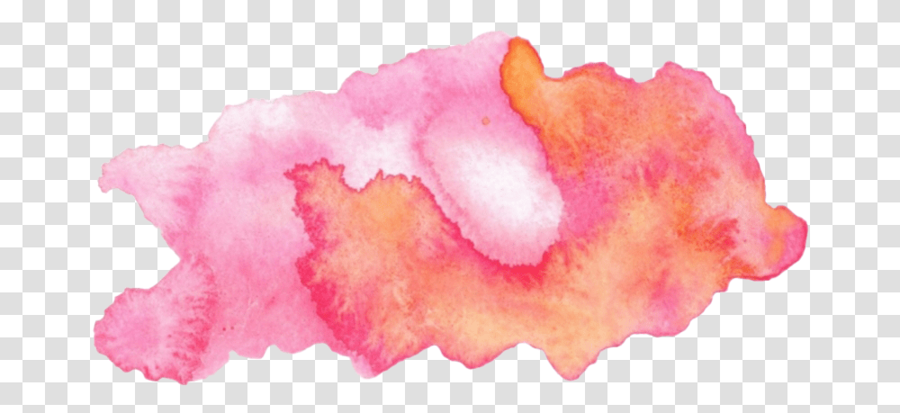 Pink Watercolor Free Download Watercolor Acuarela, Rose, Flower, Plant, Blossom Transparent Png