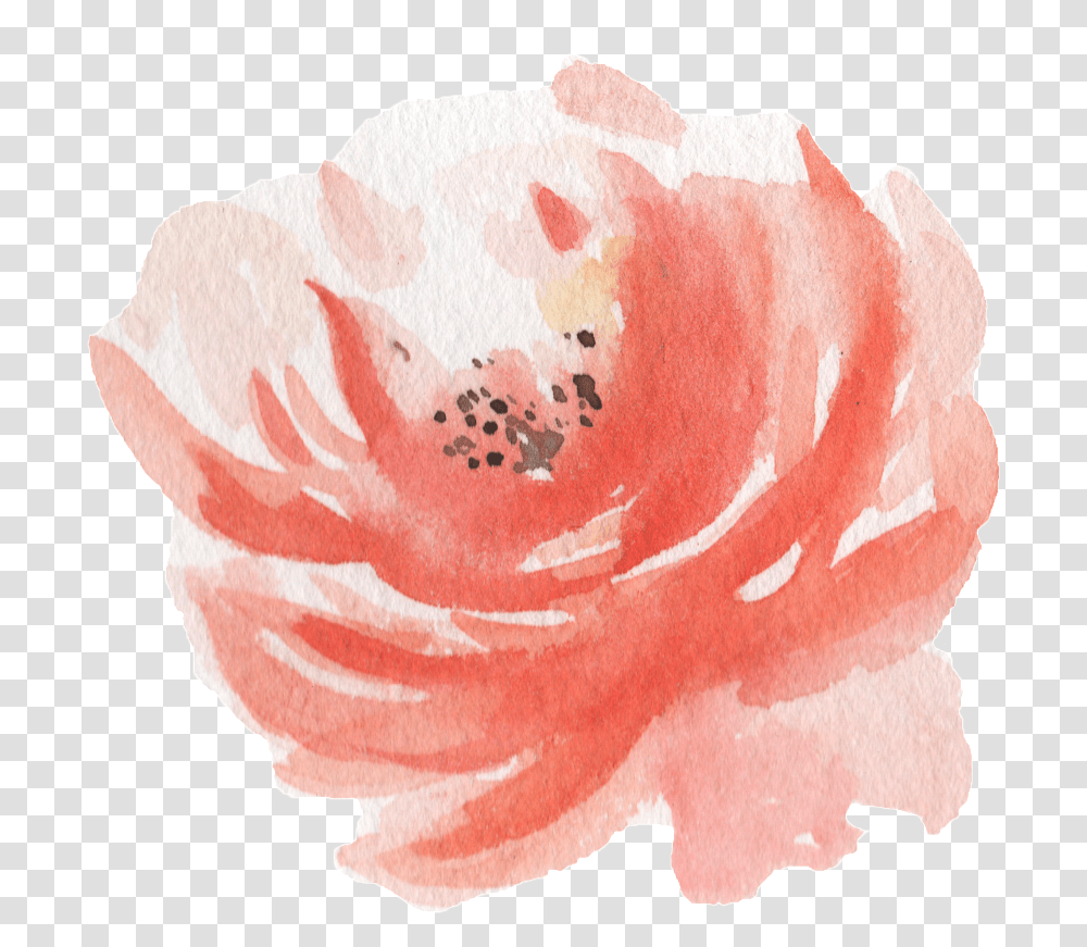 Pink Watercolor Hand Painted Flowers Watercolor Paint, Plant, Blossom, Petal, Carnation Transparent Png