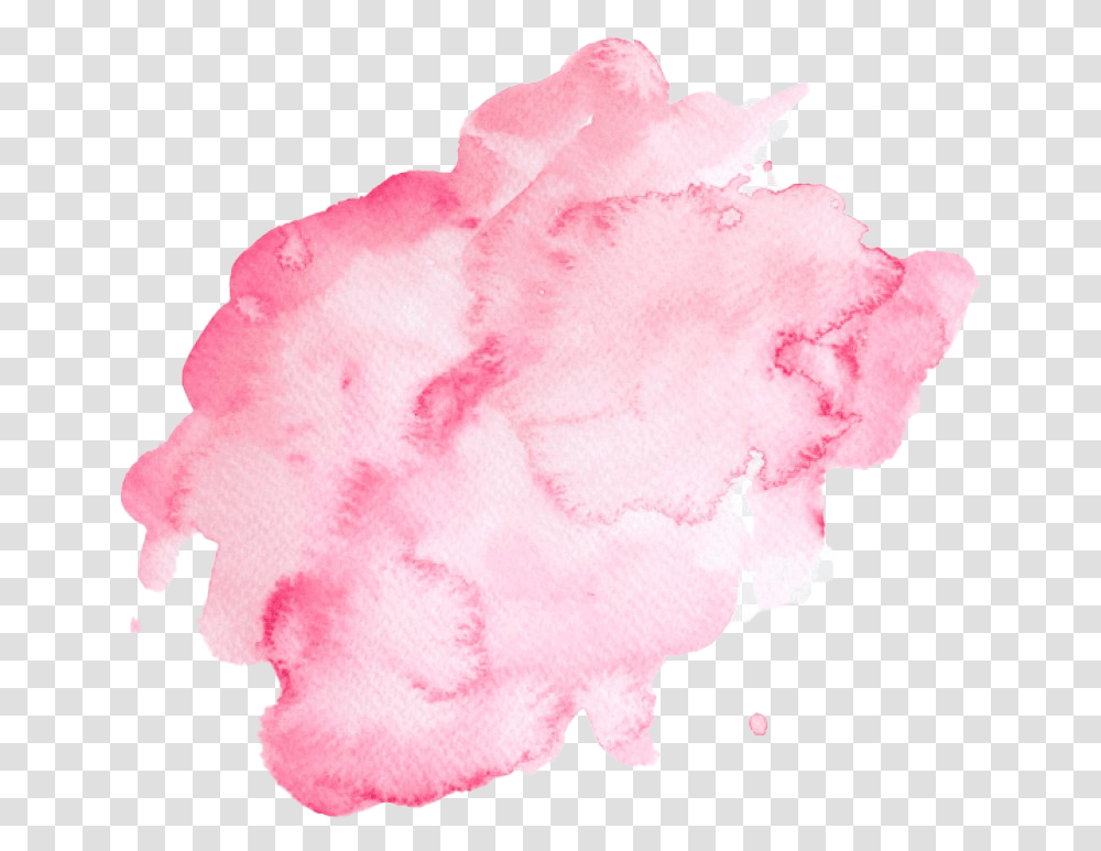 Pink Watercolor Hd Image Color Gradient, Rose, Flower, Plant, Blossom Transparent Png