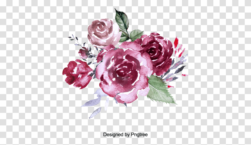 Pink Watercolor Roses Rose Paint, Plant, Flower, Blossom, Flower Arrangement Transparent Png