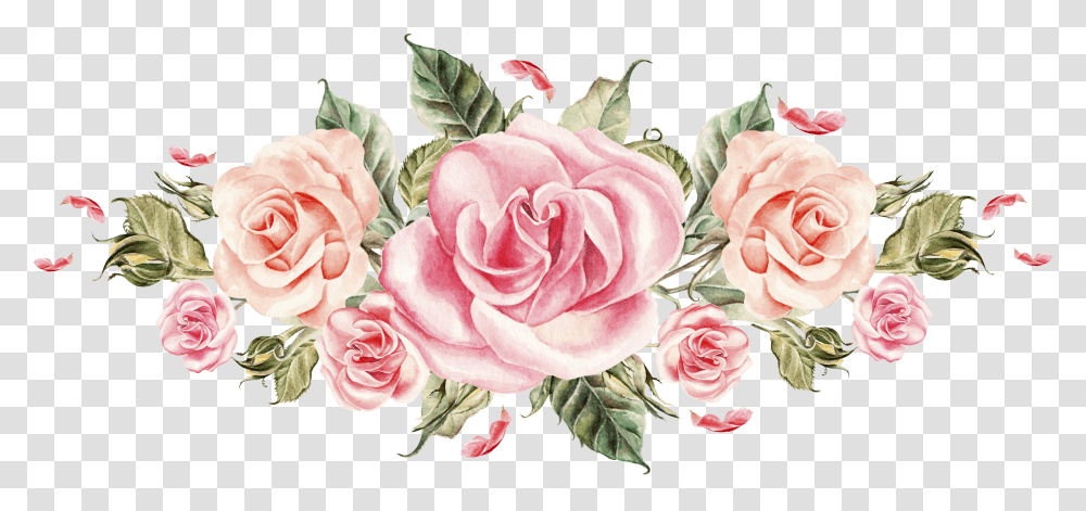 Pink Watercolor Roses Roses Watercolor Transparent Png