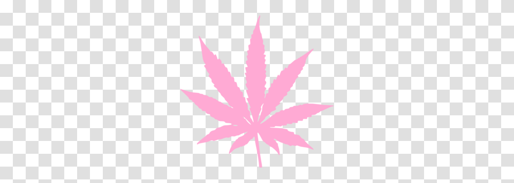 Pink Weed Leaf Clip Art, Plant, Maple Leaf, Tree, Flower Transparent Png