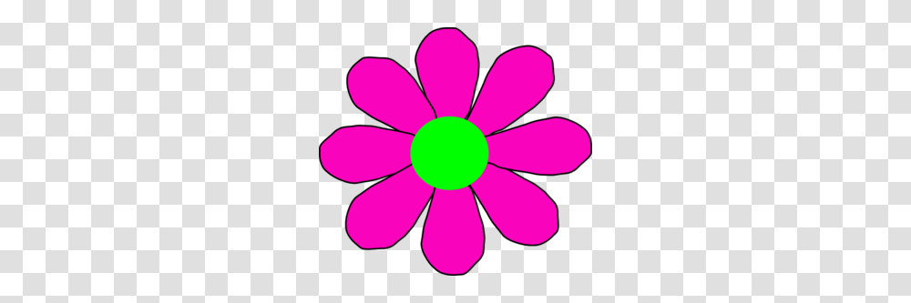 Pink With Green Daisy Clip Art, Petal, Flower, Plant, Daisies Transparent Png