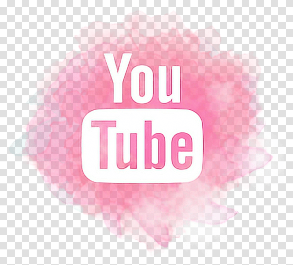 Pink Youtube Logo, Plant, Flower Transparent Png