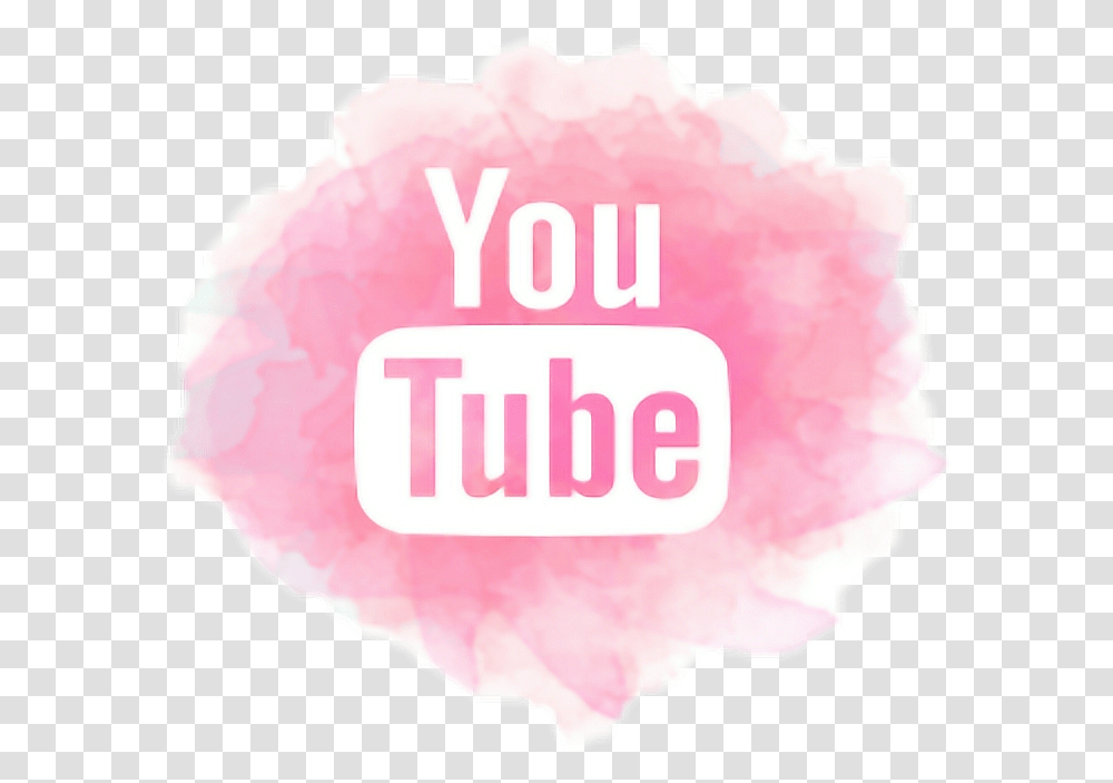 Pink Youtube Youtube Logo Black, Petal, Flower, Plant, Carnation Transparent Png