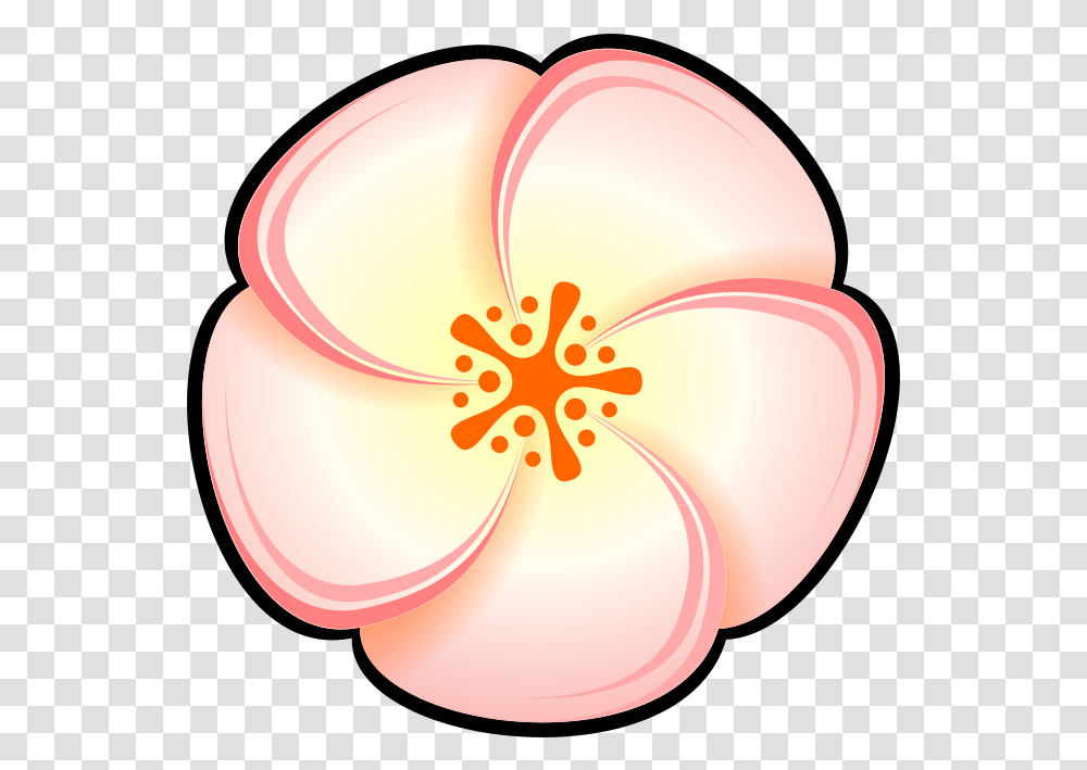 Pinkflowerpeach Peach Color Cartoon, Plant, Blossom, Petal, Anther Transparent Png