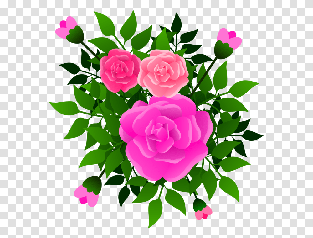 Pinkflowerprickly Rose, Plant, Petal, Floral Design, Pattern Transparent Png