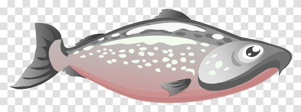 Pinkjawfish Salmon Clipart, Sea Life, Animal, Mammal, Axe Transparent Png