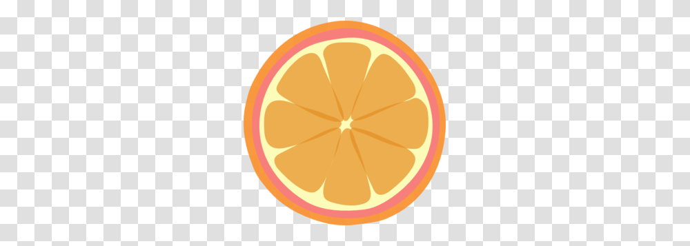 Pinkorangeborder Tangerine Clip Art, Citrus Fruit, Plant, Food, Grapefruit Transparent Png